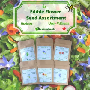 6x Edible Flower Seed Assortment