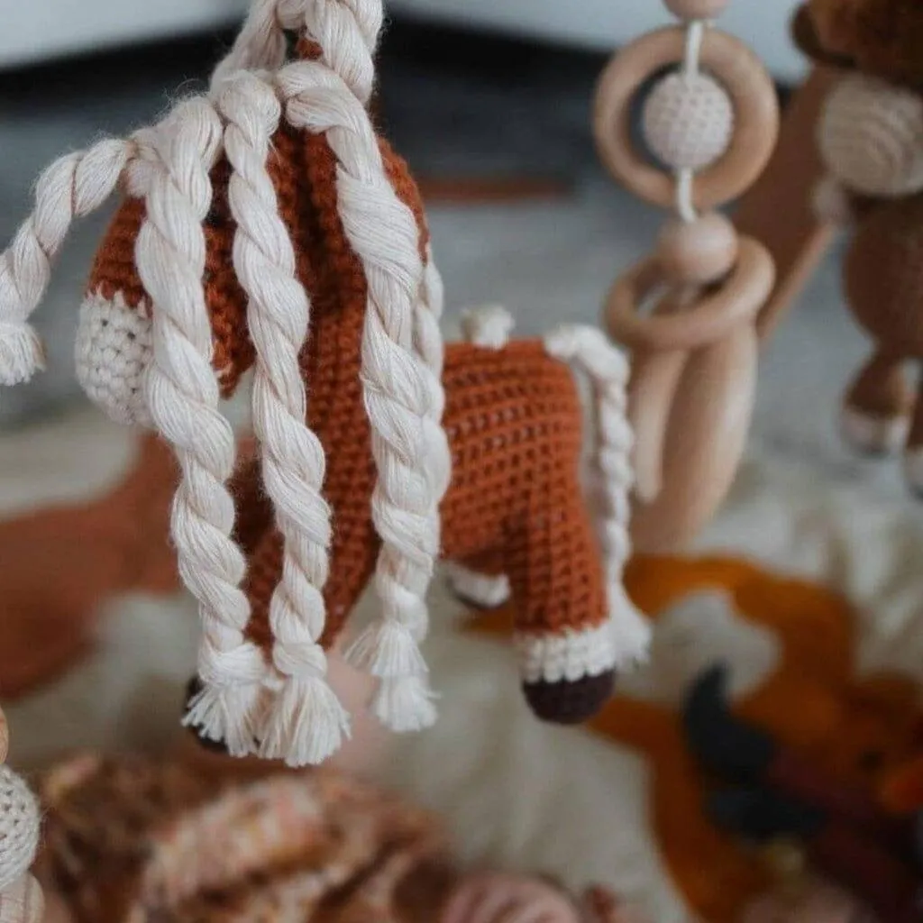 Baby Activity Gym & Crochet Toys