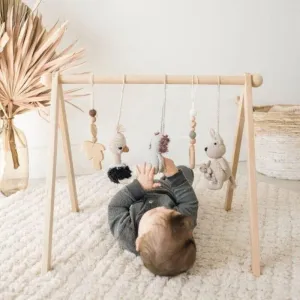 Baby Activity Gym & Crochet Toys