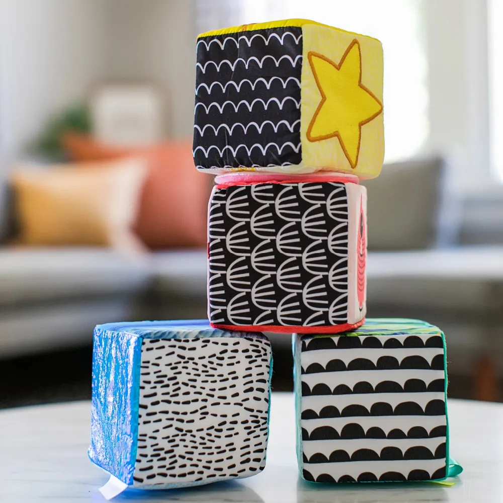 Baby Einstein Soft Blocks
