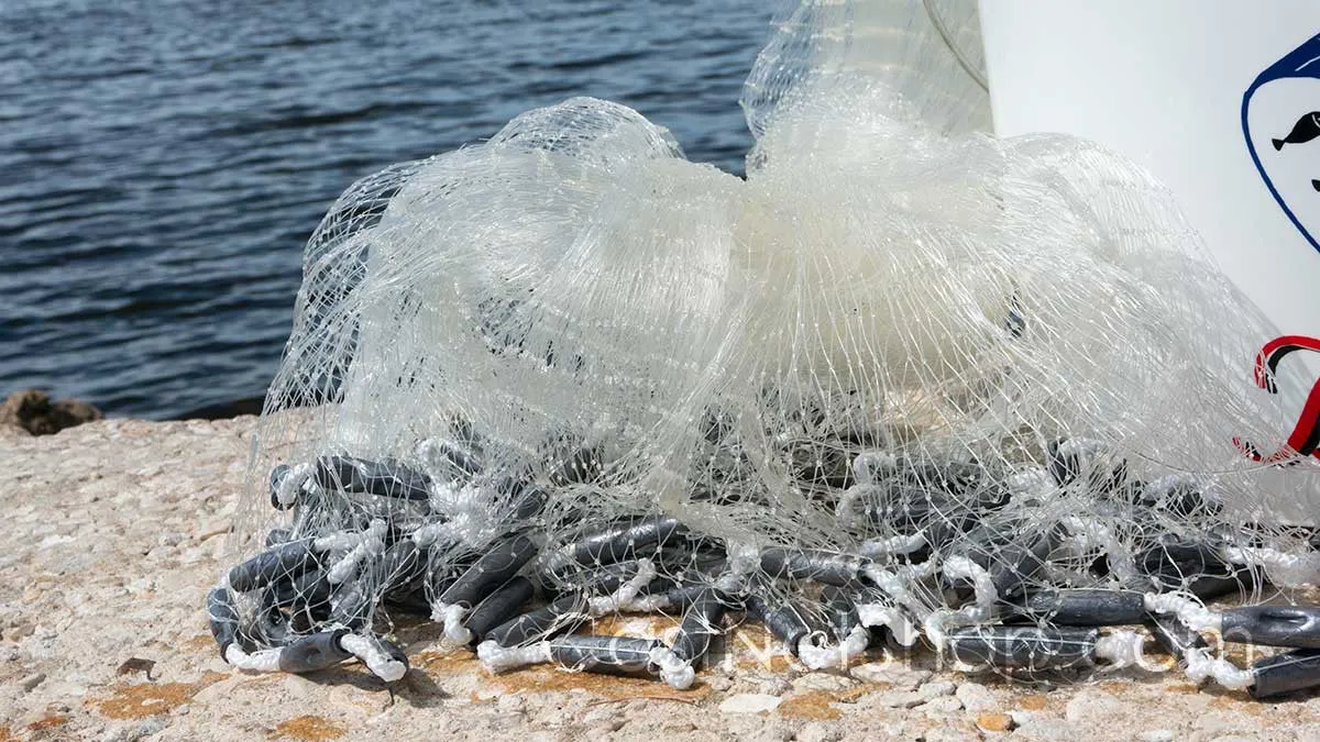 Bait Buster Menhaden Cast Nets CMN-BB12, 12 ft. Radius, 5/8" Sq. Mesh