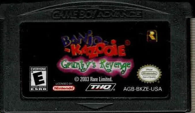 Banjo Kazooie: Grunty's Revenge