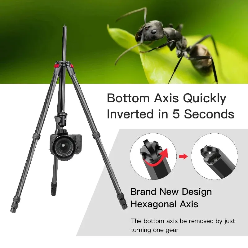 Carbon Fiber Lightweight Tripod