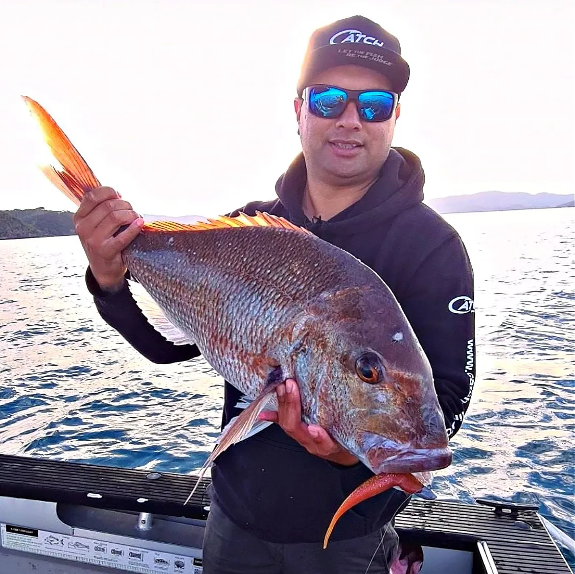 Catch Black Label Livies Softbait 5 or 7" Jerkshad - Bronze Baitfish