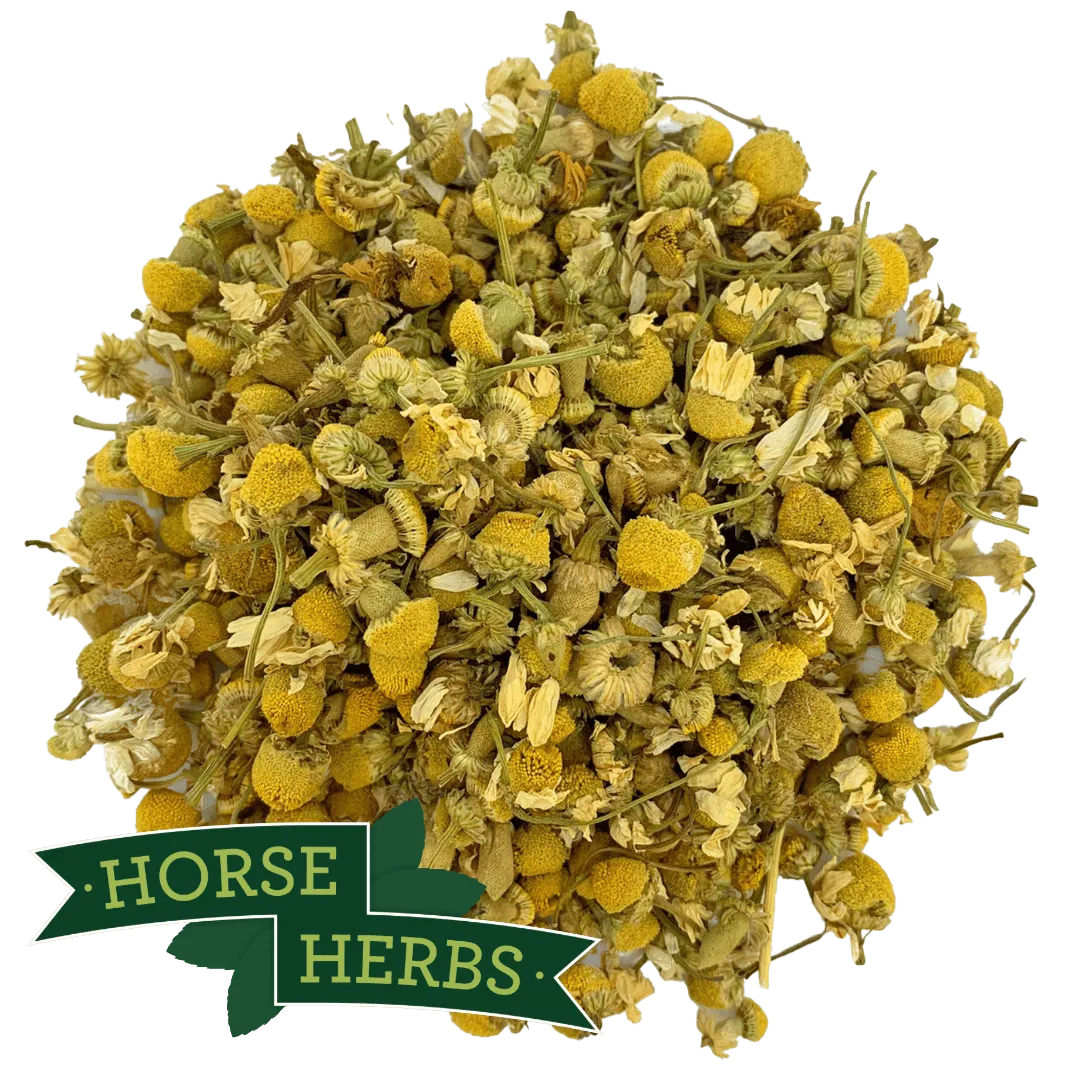 Chamomile Flowers