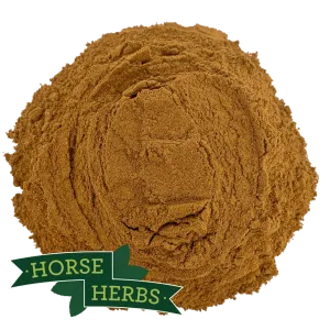Cinnamon Powder