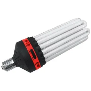 Compact Fluorescent Lamps (CFLs) Bloom Red
