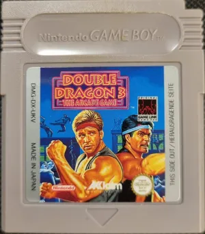 Double Dragon 3 - The Arcade Game