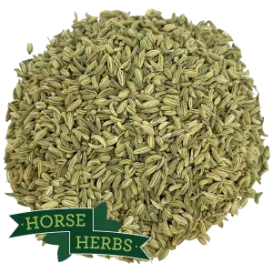 Fennel Seeds