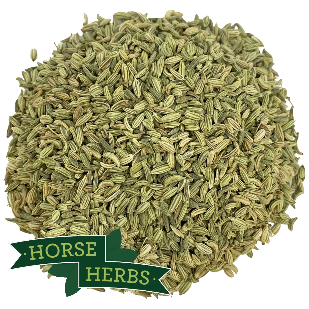 Fennel Seeds