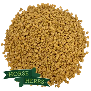 Fenugreek Seeds