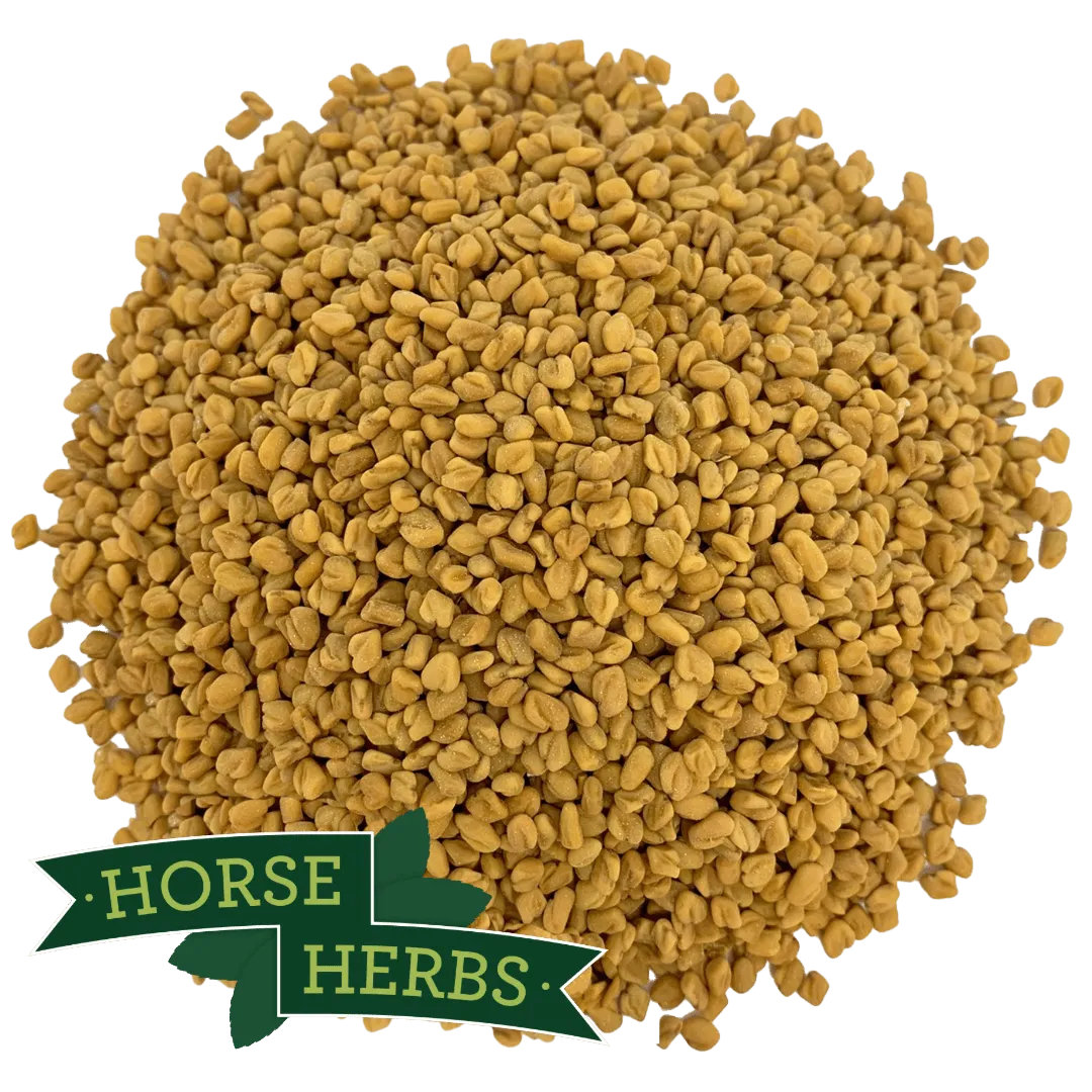 Fenugreek Seeds