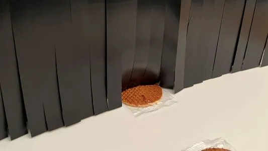 Food Scanner Xray Curtains