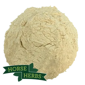 Garlic Powder