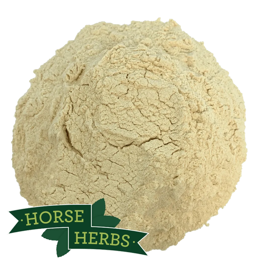 Garlic Powder