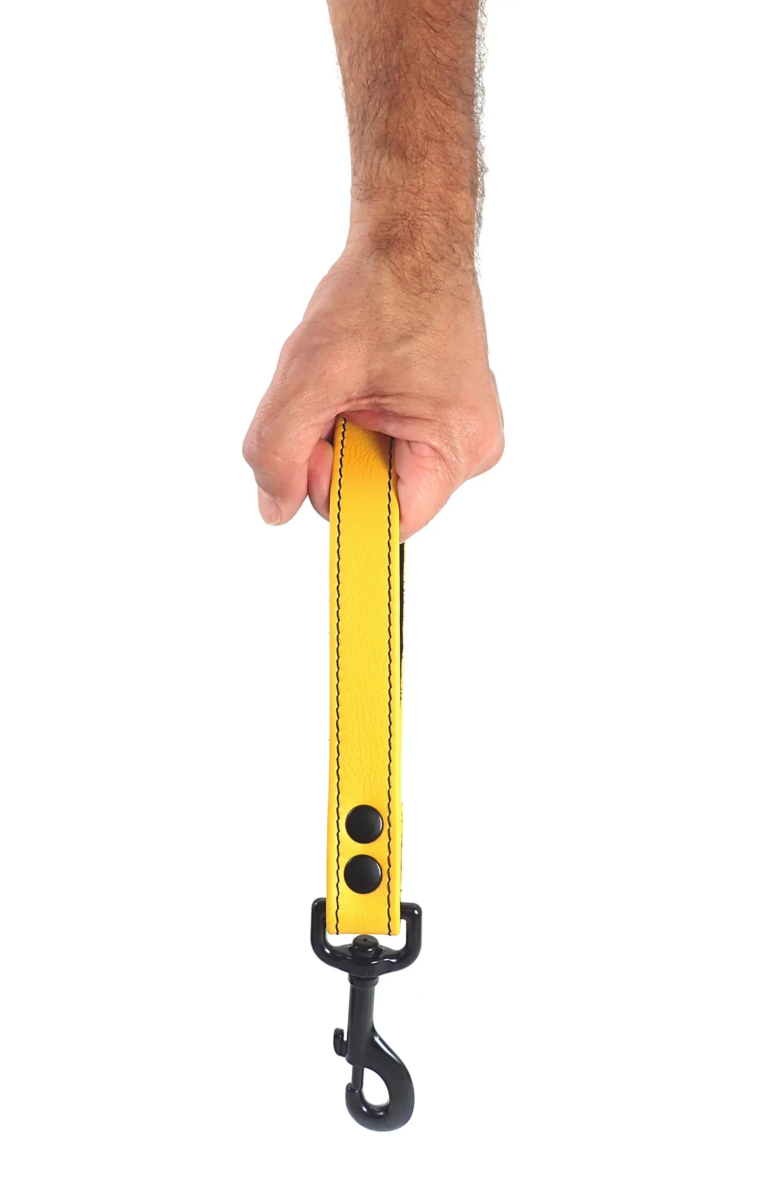 HANDLE LEASH - Colour