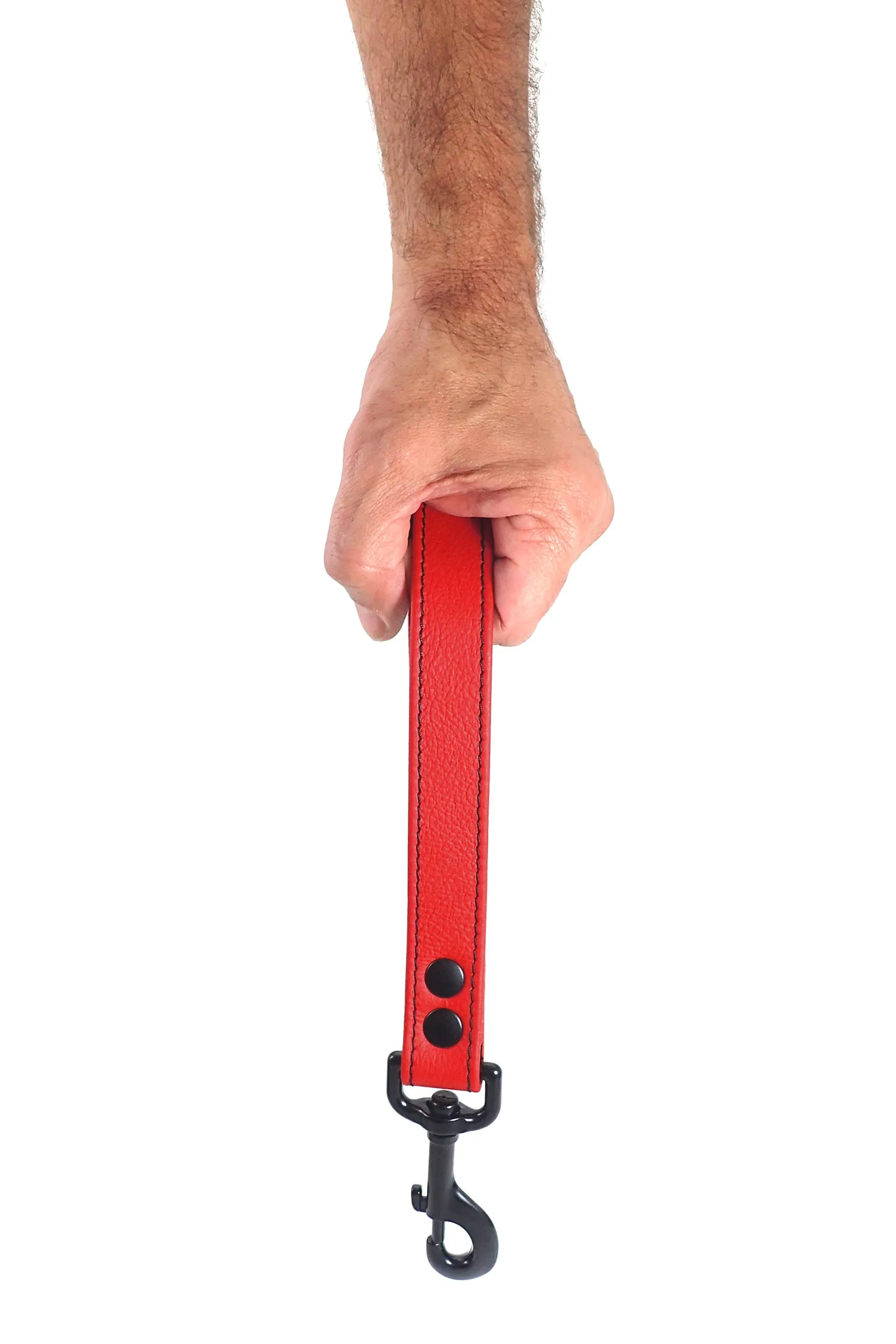 HANDLE LEASH - Colour
