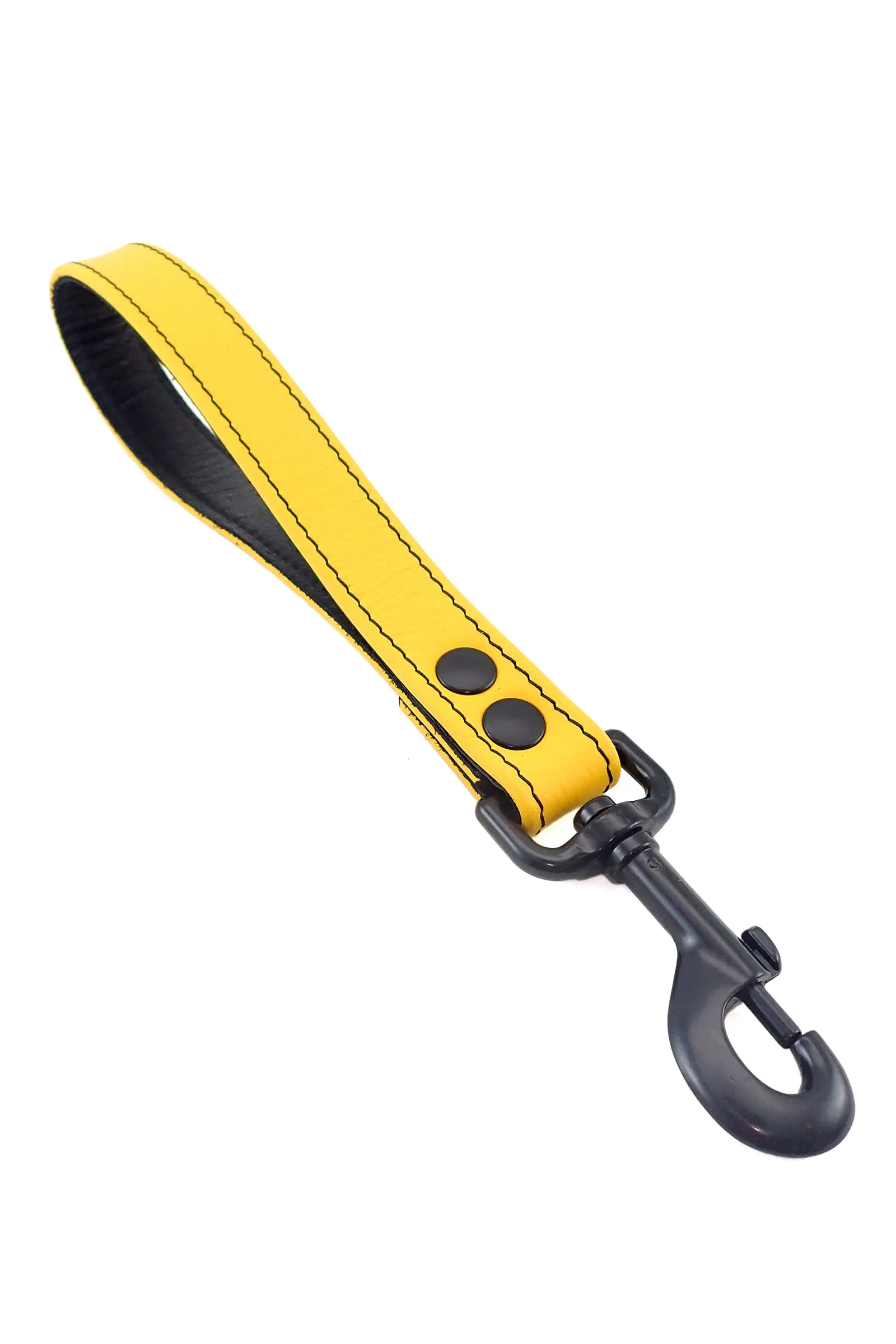 HANDLE LEASH - Colour