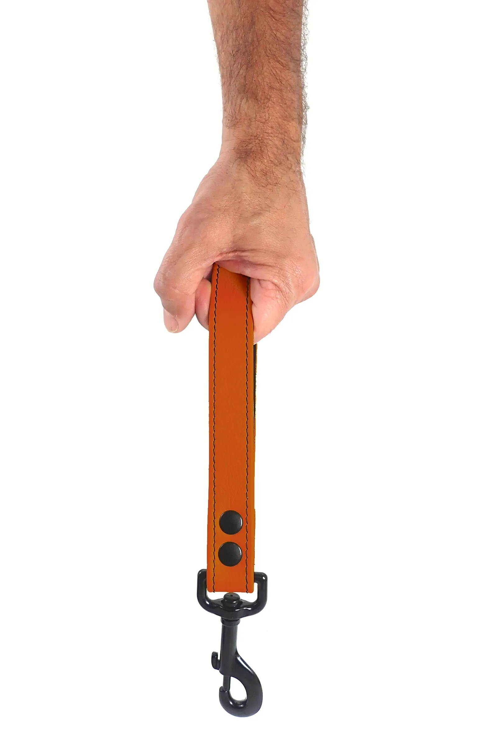 HANDLE LEASH - Colour