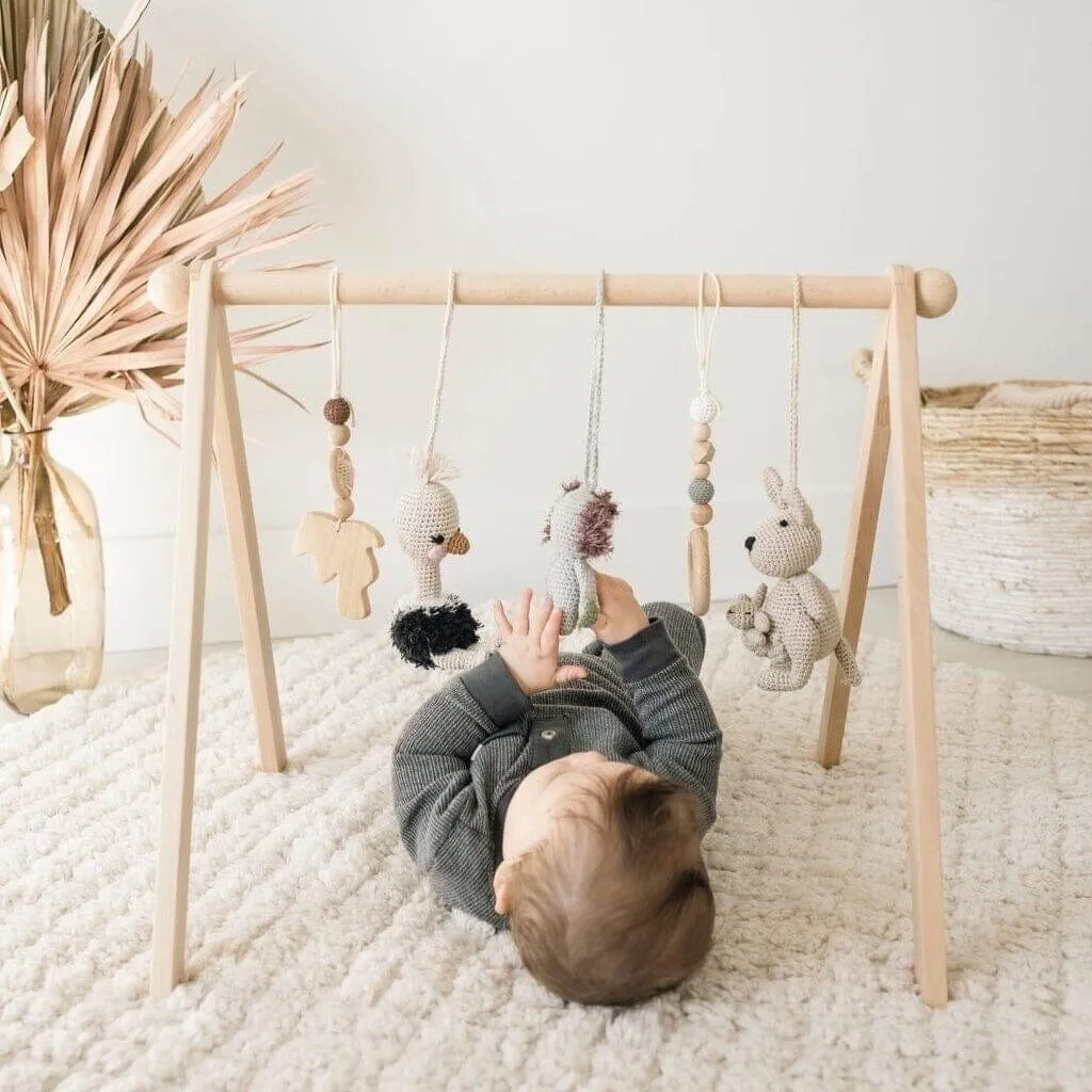 Handmade Crochet Toys for Baby Gym | Australian friends