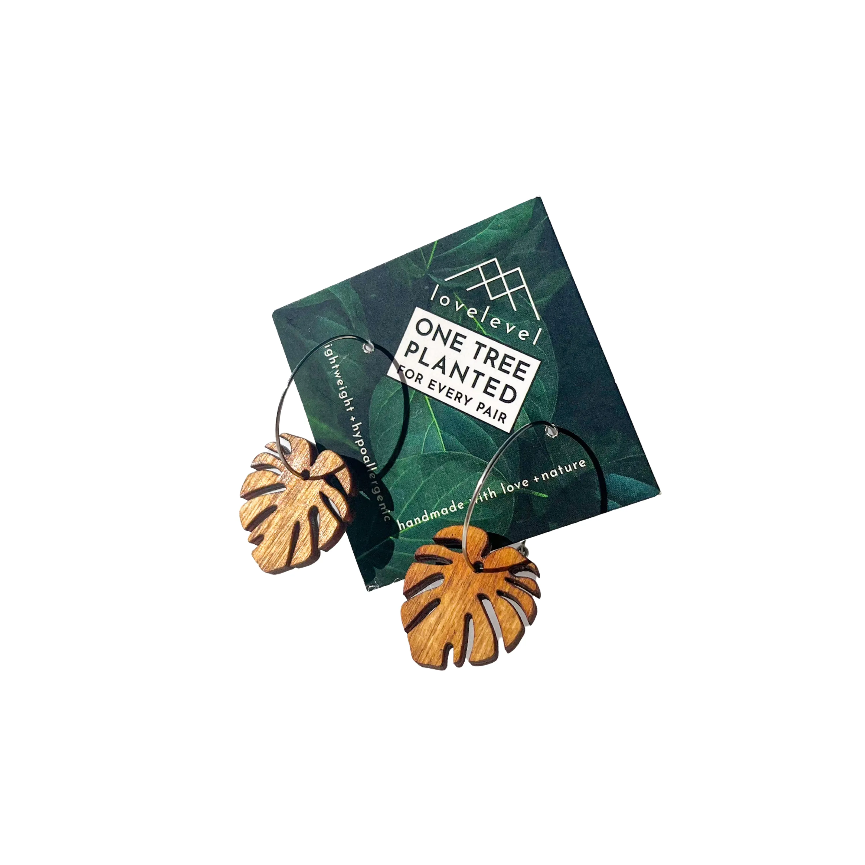 Hawaii Wood Earrings | BABY MONSTERA
