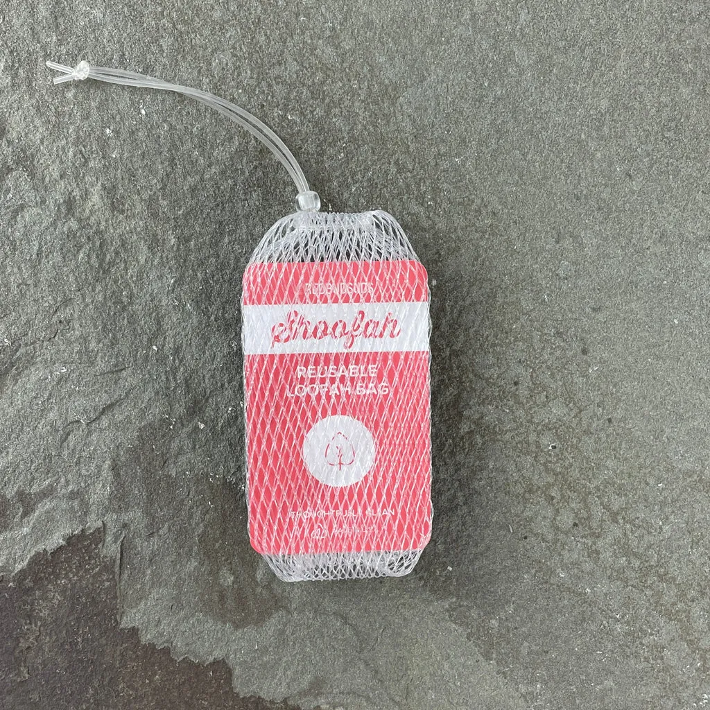 Hydration Station - Brave Bar Bundle