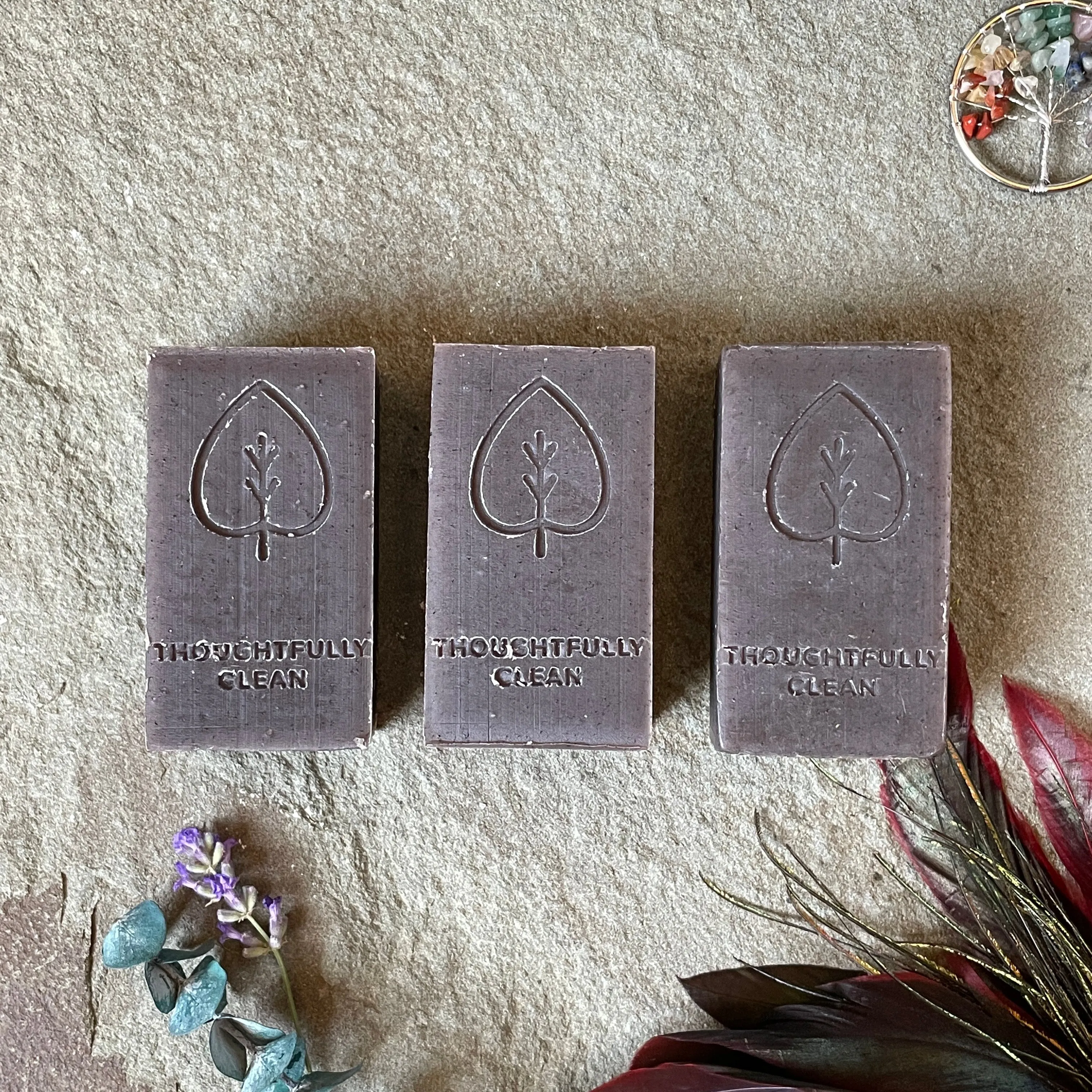 Hydration Station - Brave Bar Bundle