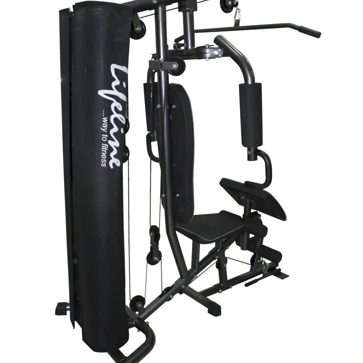 Lifeline Home Gym 005 Deluxe Bundles with Weider Gold whey Protein 908 GMS (Vanilla Fresh)