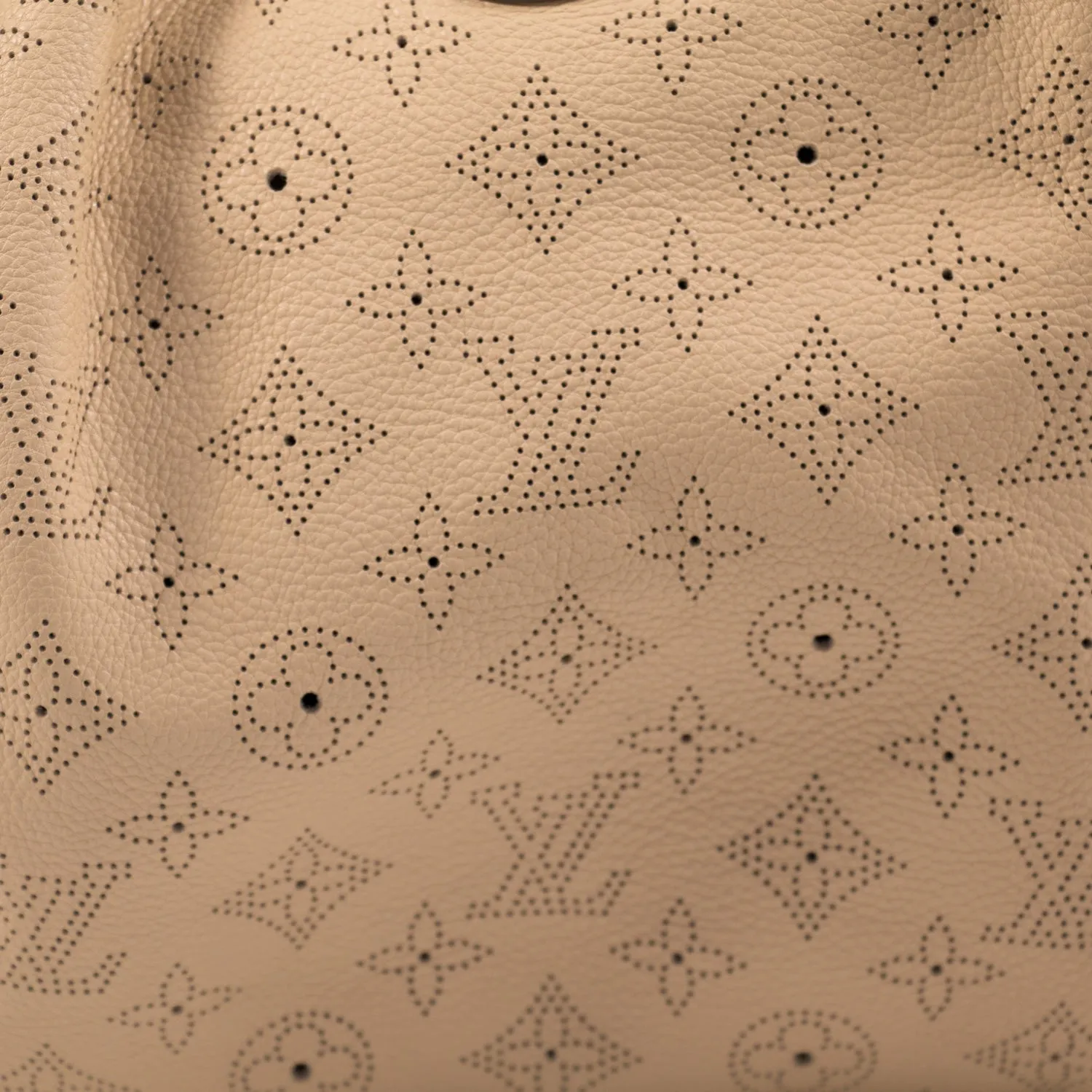 Louis Vuitton Monogram Mahina L Hobo Bag