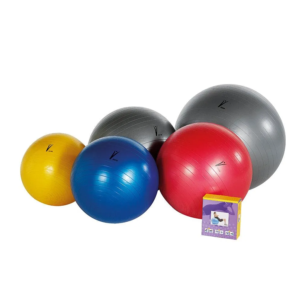 PALLA DA GINNASTICA PSICOMOTORIA GYM BALL SCHIAVI 55cm 65cm 75cm 85cm FITBALL