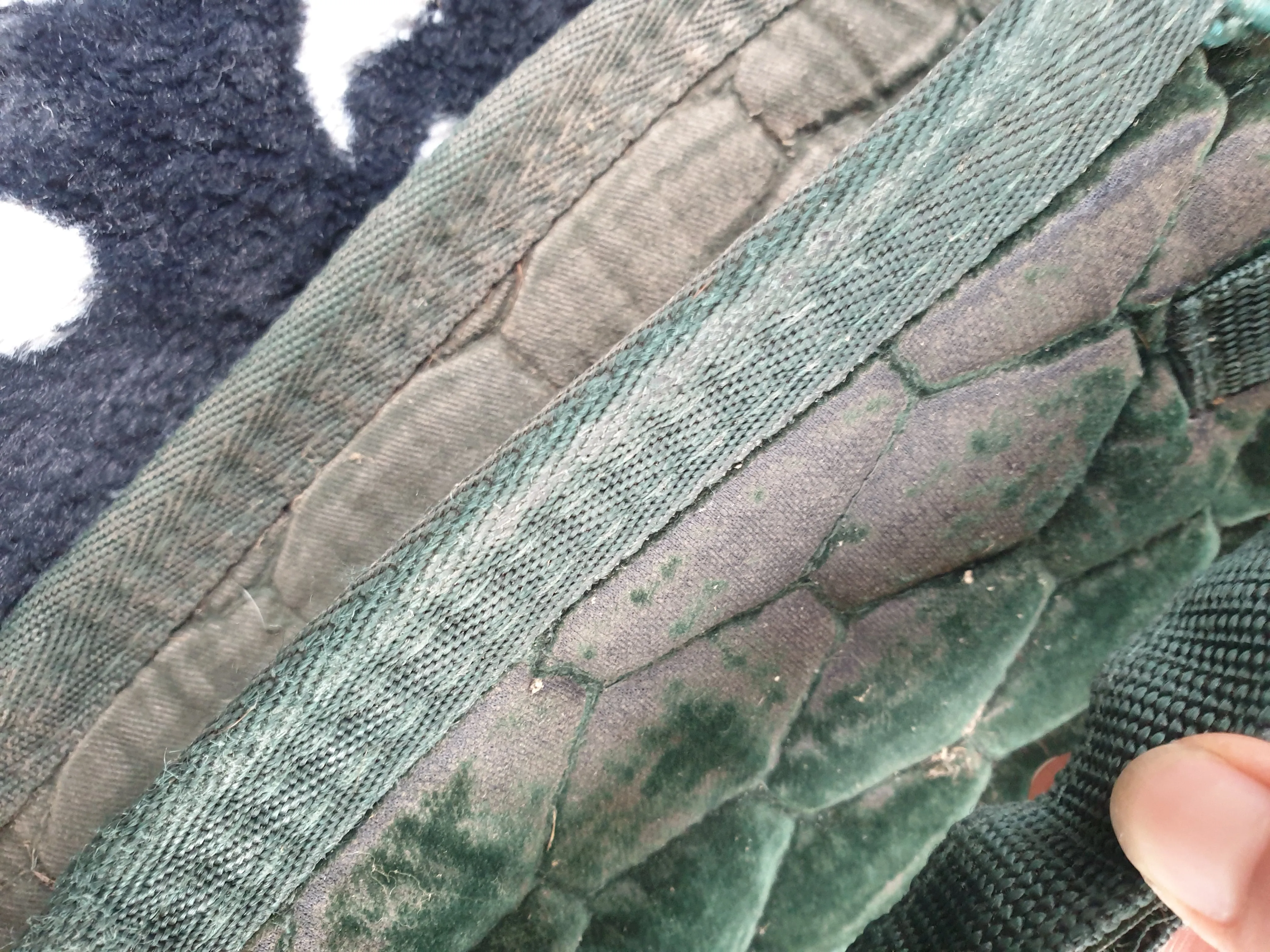 Premier equine quilted velvet green saddle cloth size cob/full FREE POSTAGE ✅