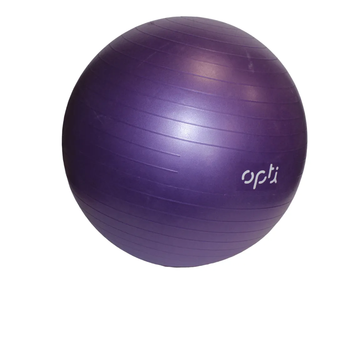 Purple Gym Ball