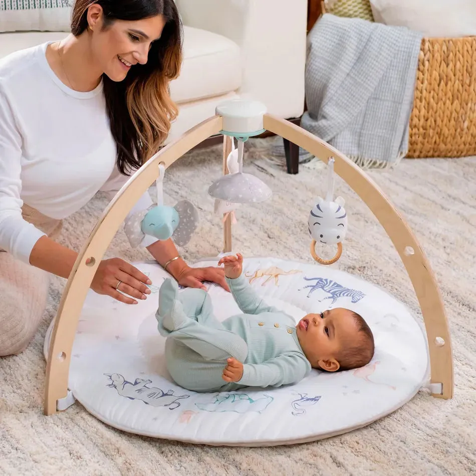 Retails $143  aden   anais Play Discover Activity Gym, MISSING 1 HANGING MIRROR & 1 HOOK, No Box