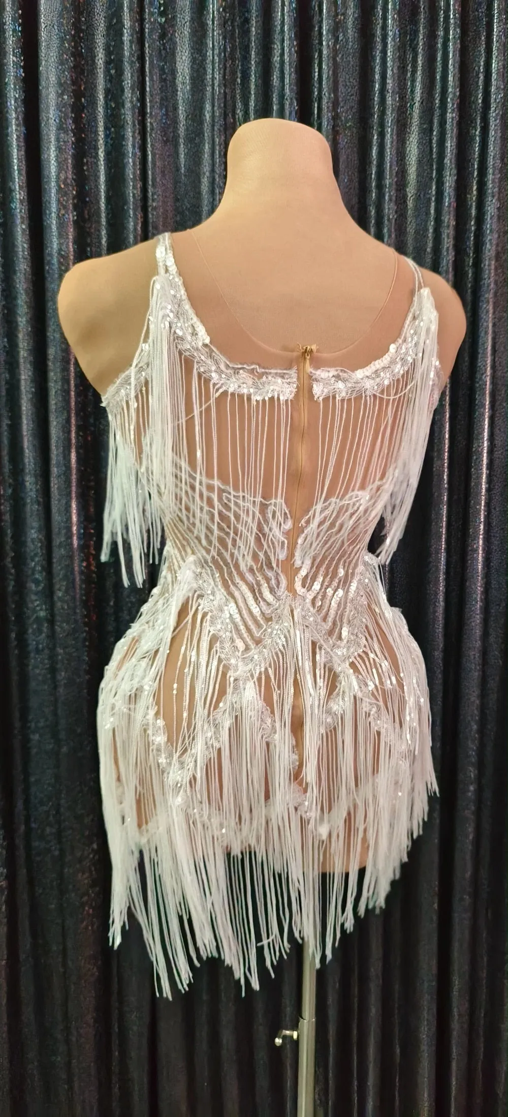 Shining Silver Sequins Fringes Dress