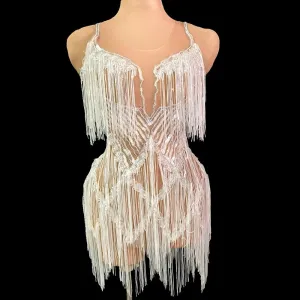 Shining Silver Sequins Fringes Dress