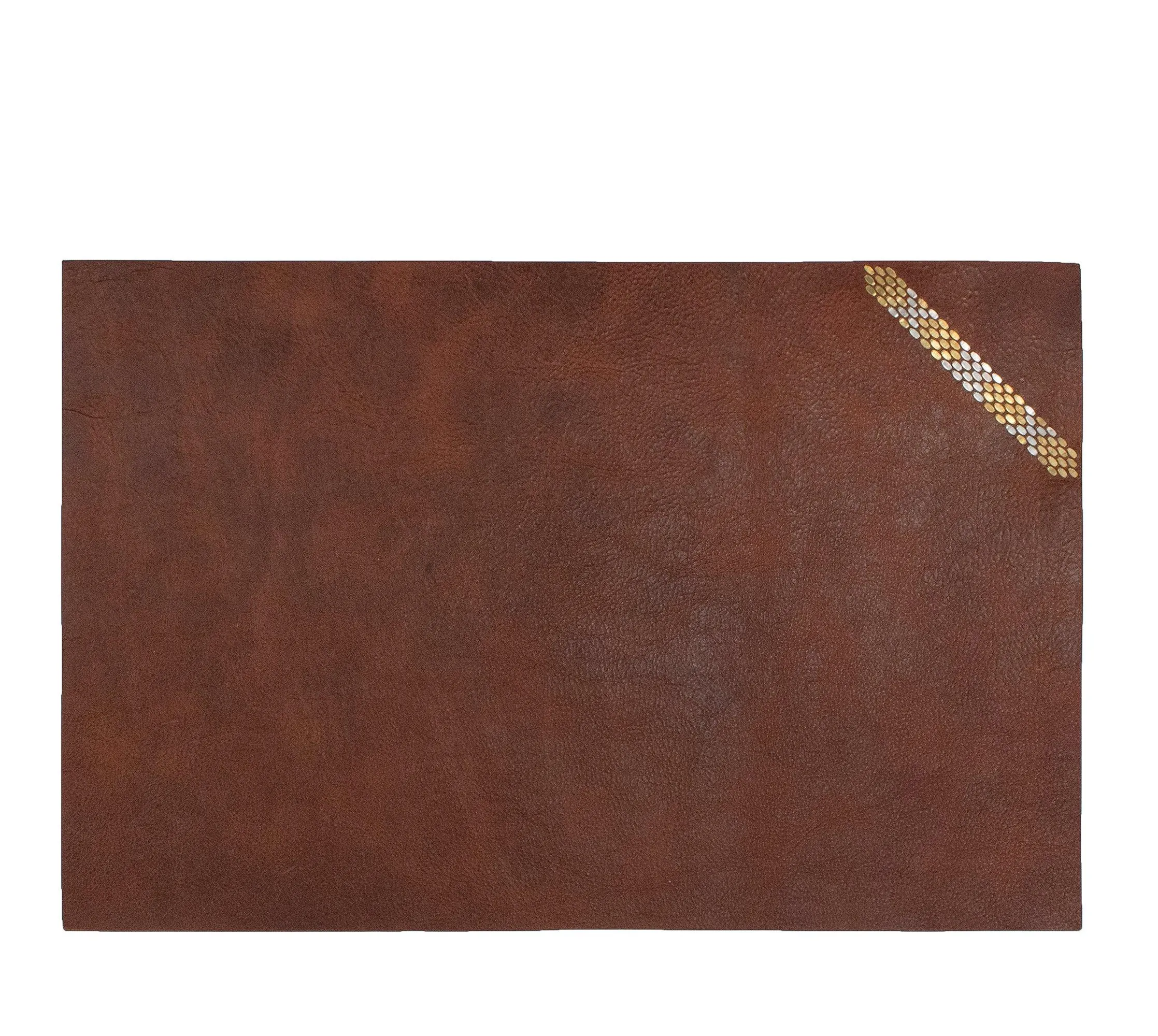 Snake Desk Blotter (15" x 22")