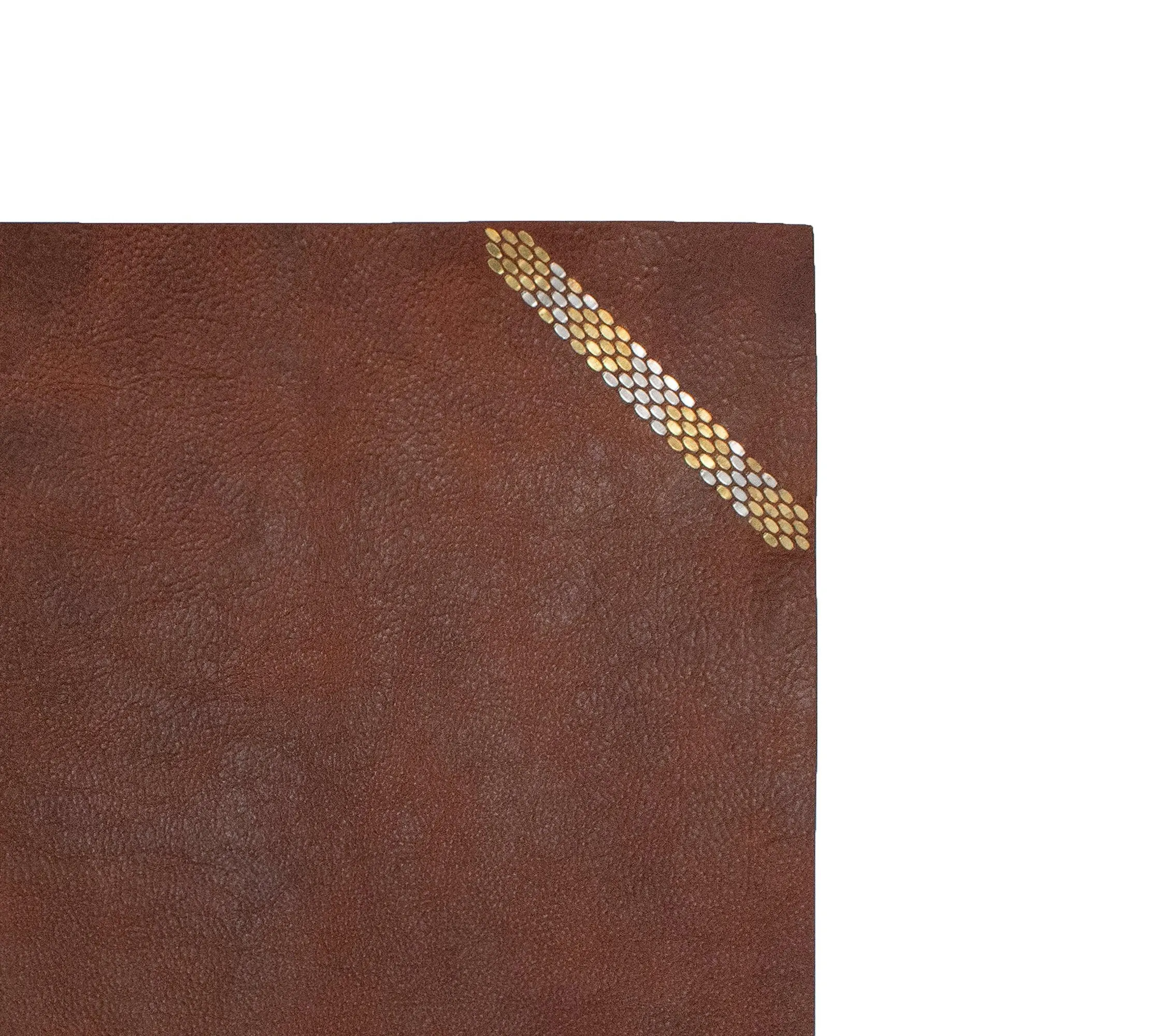 Snake Desk Blotter (15" x 22")