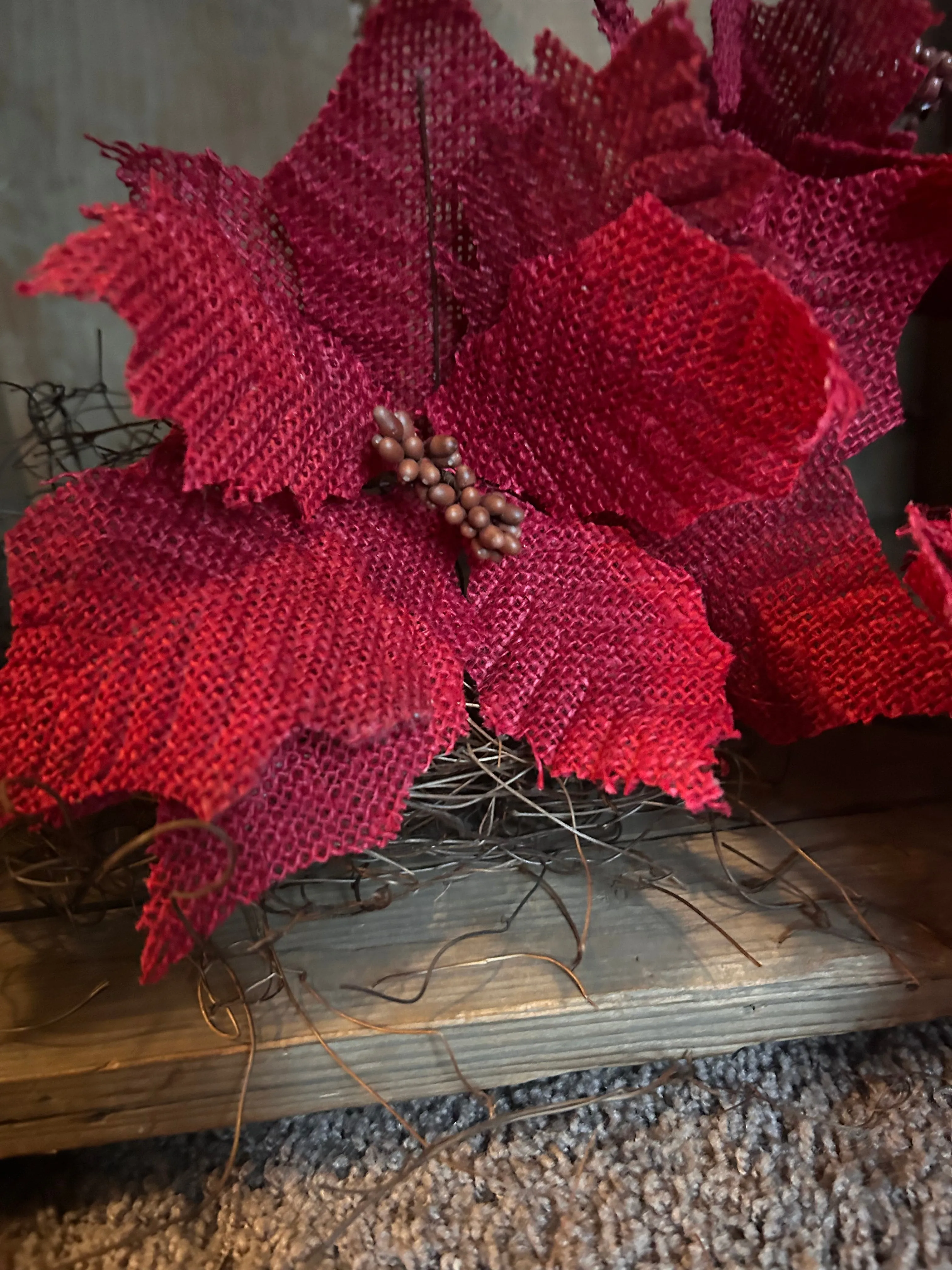 Sugar Sack Poinsettias