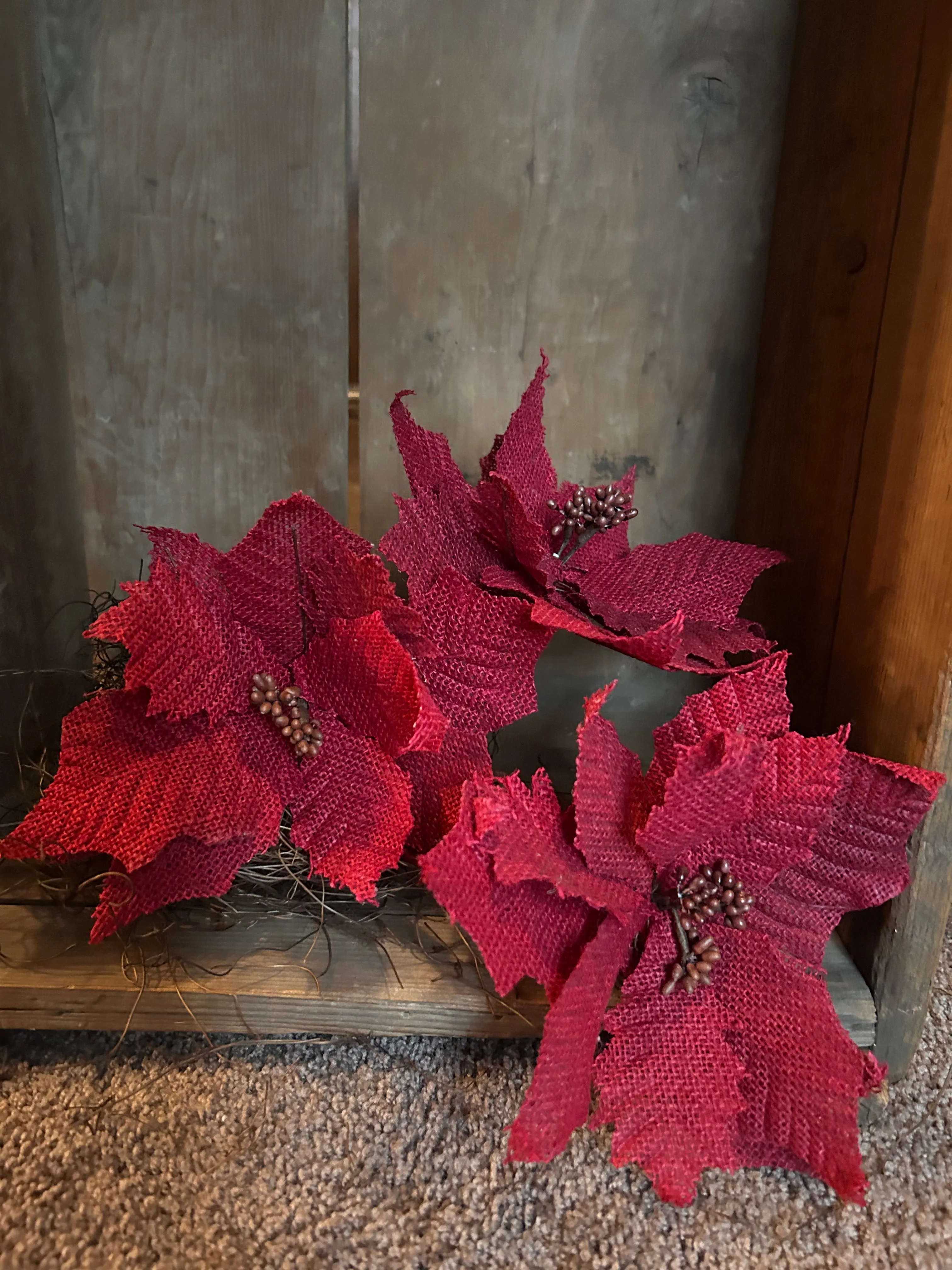 Sugar Sack Poinsettias