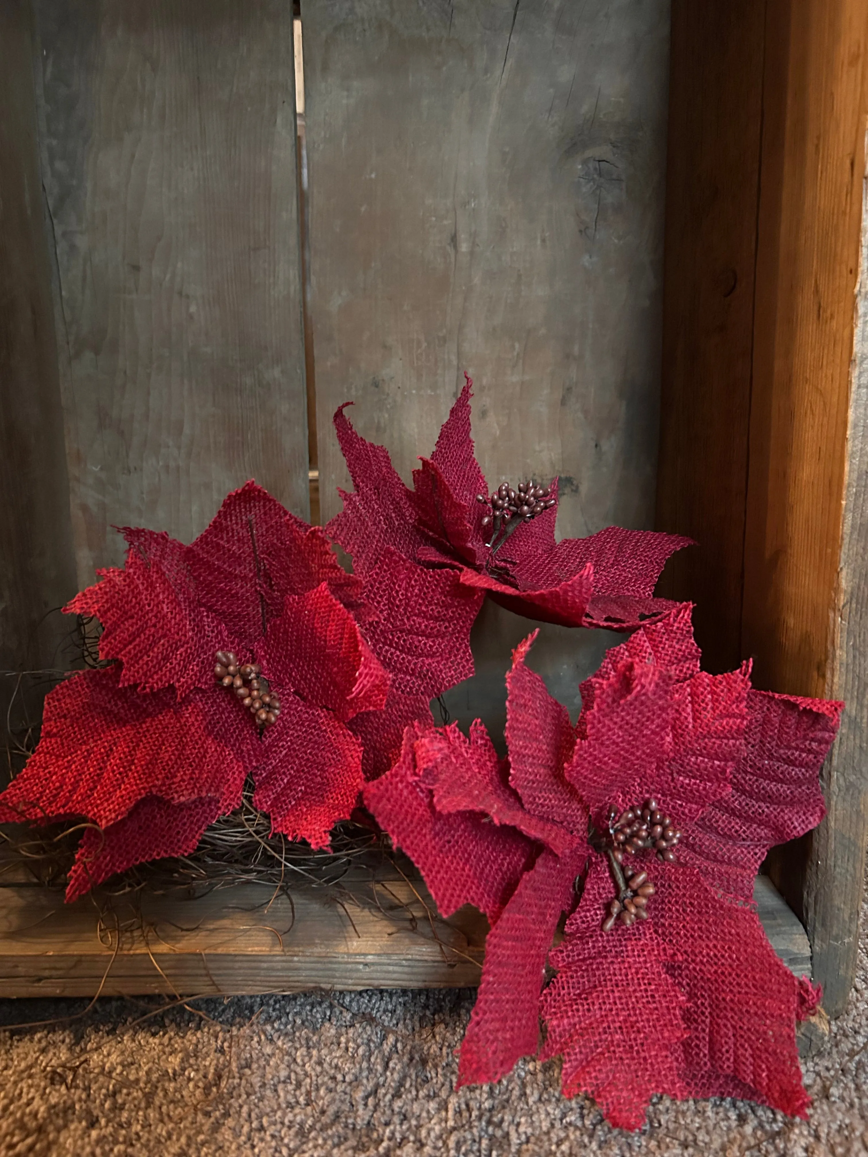 Sugar Sack Poinsettias