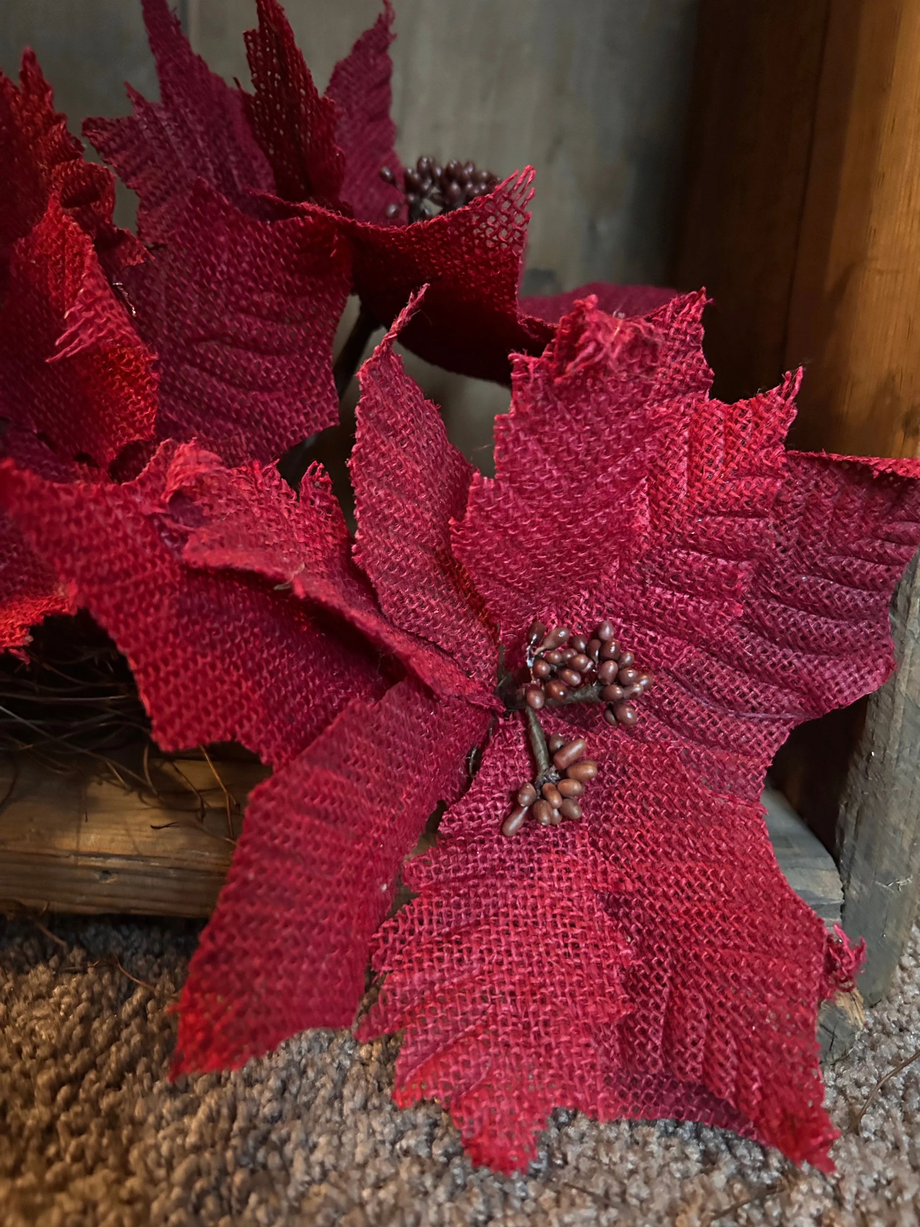 Sugar Sack Poinsettias