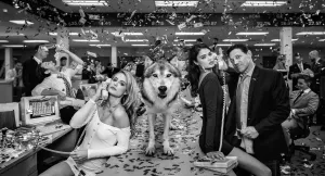 The Wolves of Wall Street II