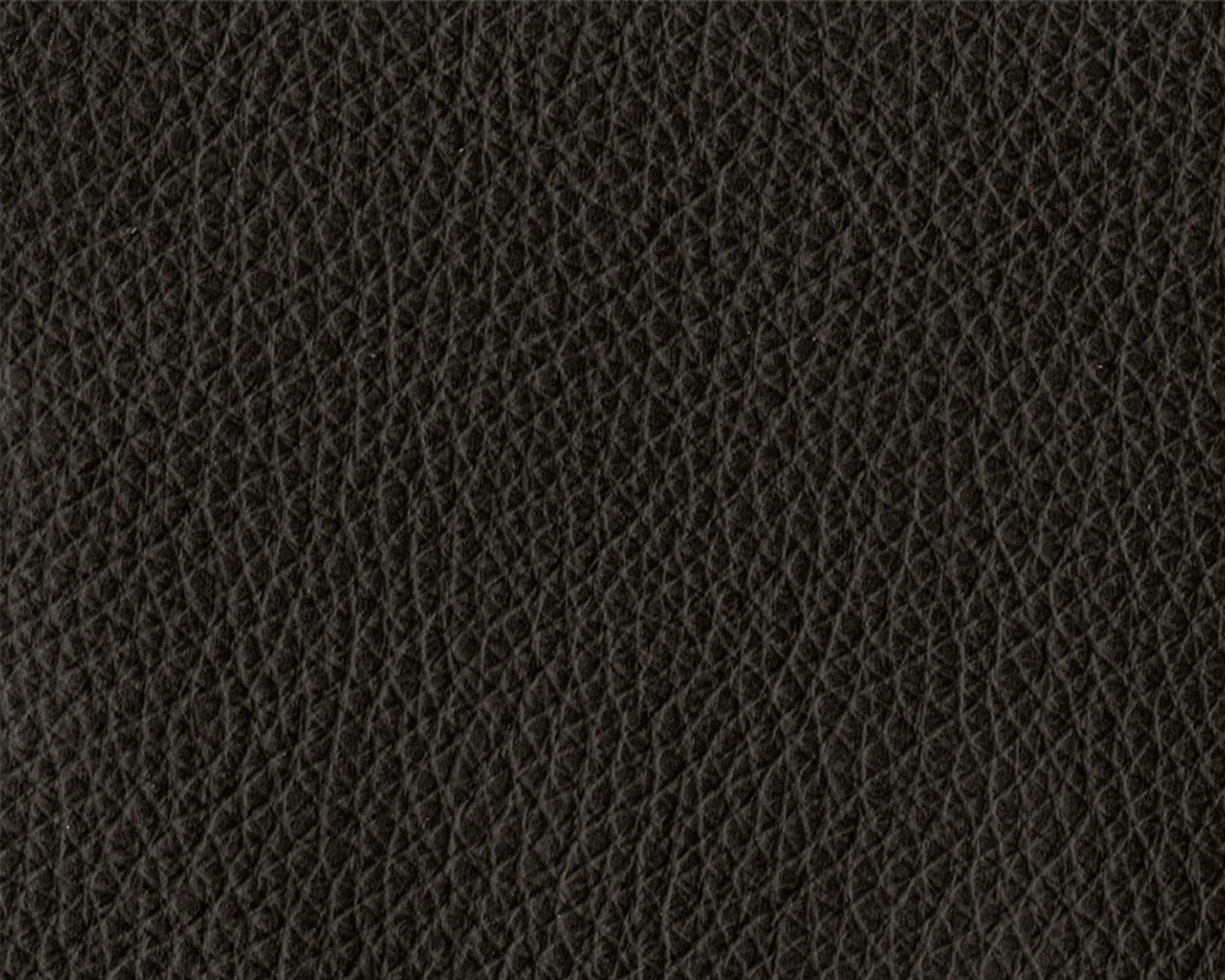 Thor Leather - 301