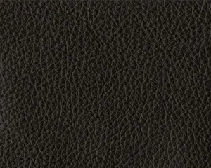 Thor Leather - 301