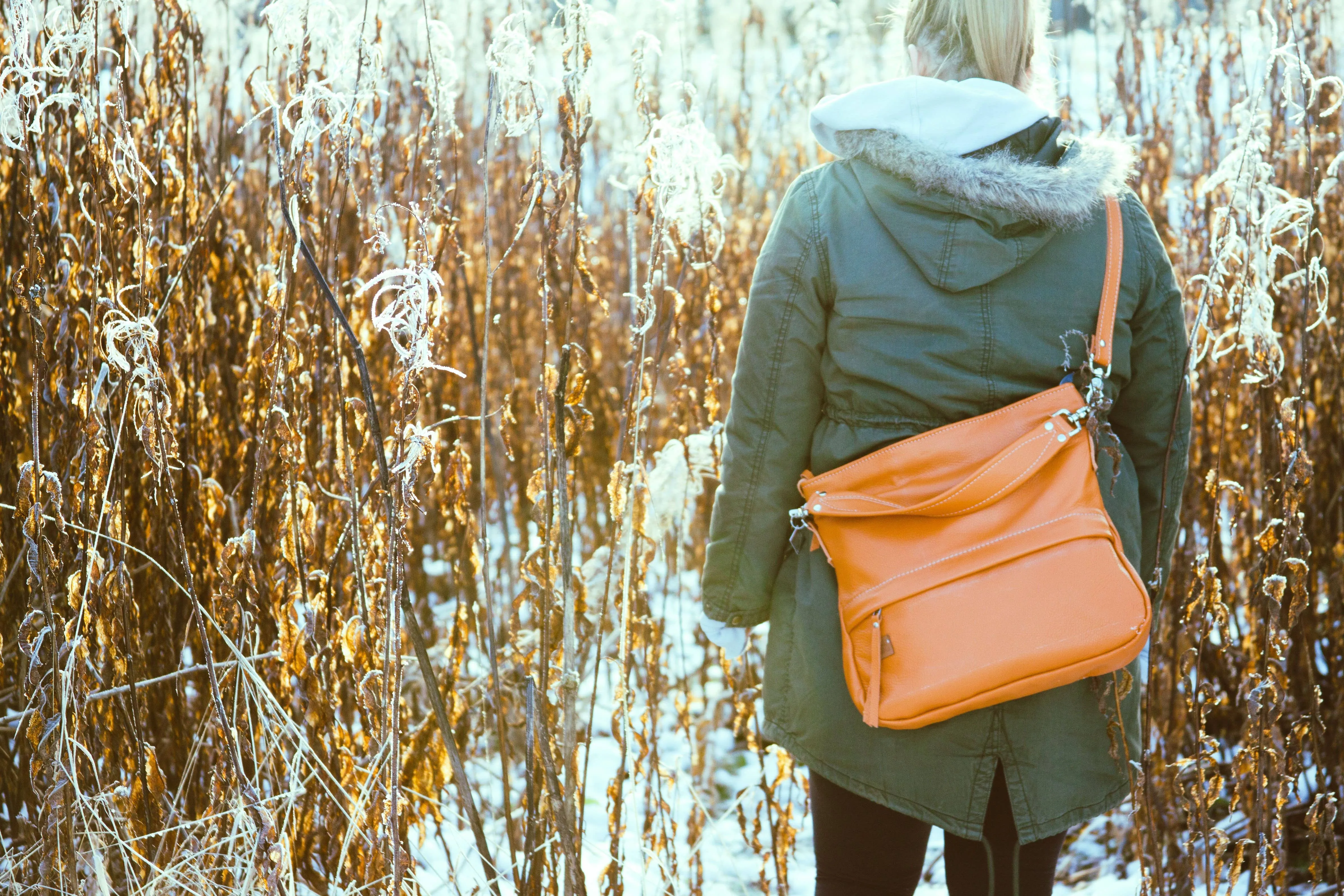 Timberline Hobo