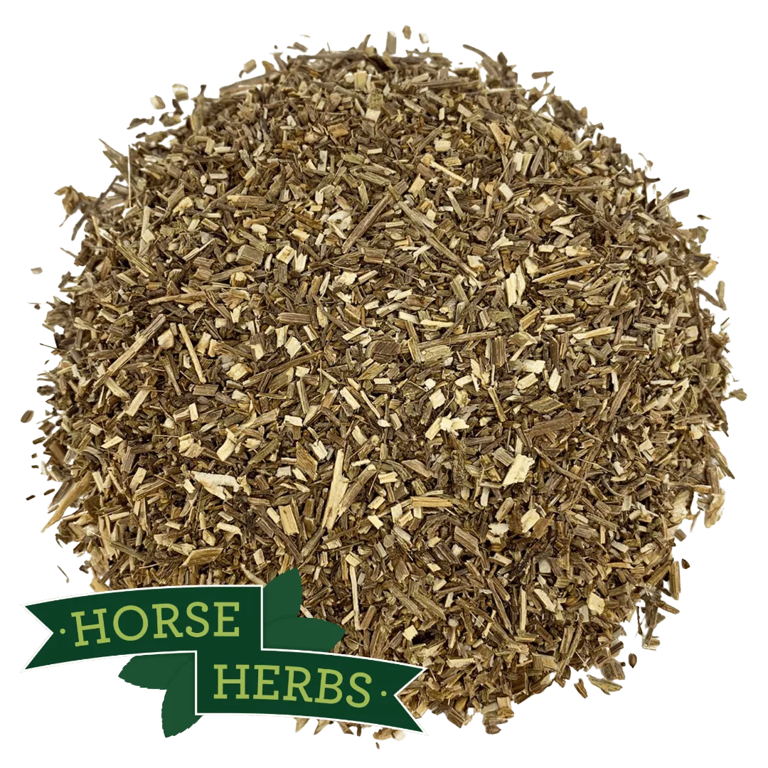Vervain