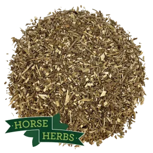 Vervain
